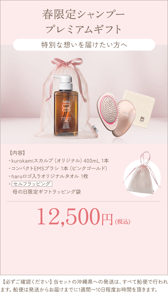 春限定シャンプープレミアムギフト kurokamiスカルプ（オリジナル）＆コンパクトEMSブラシ