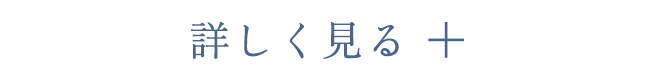 詳しく見る