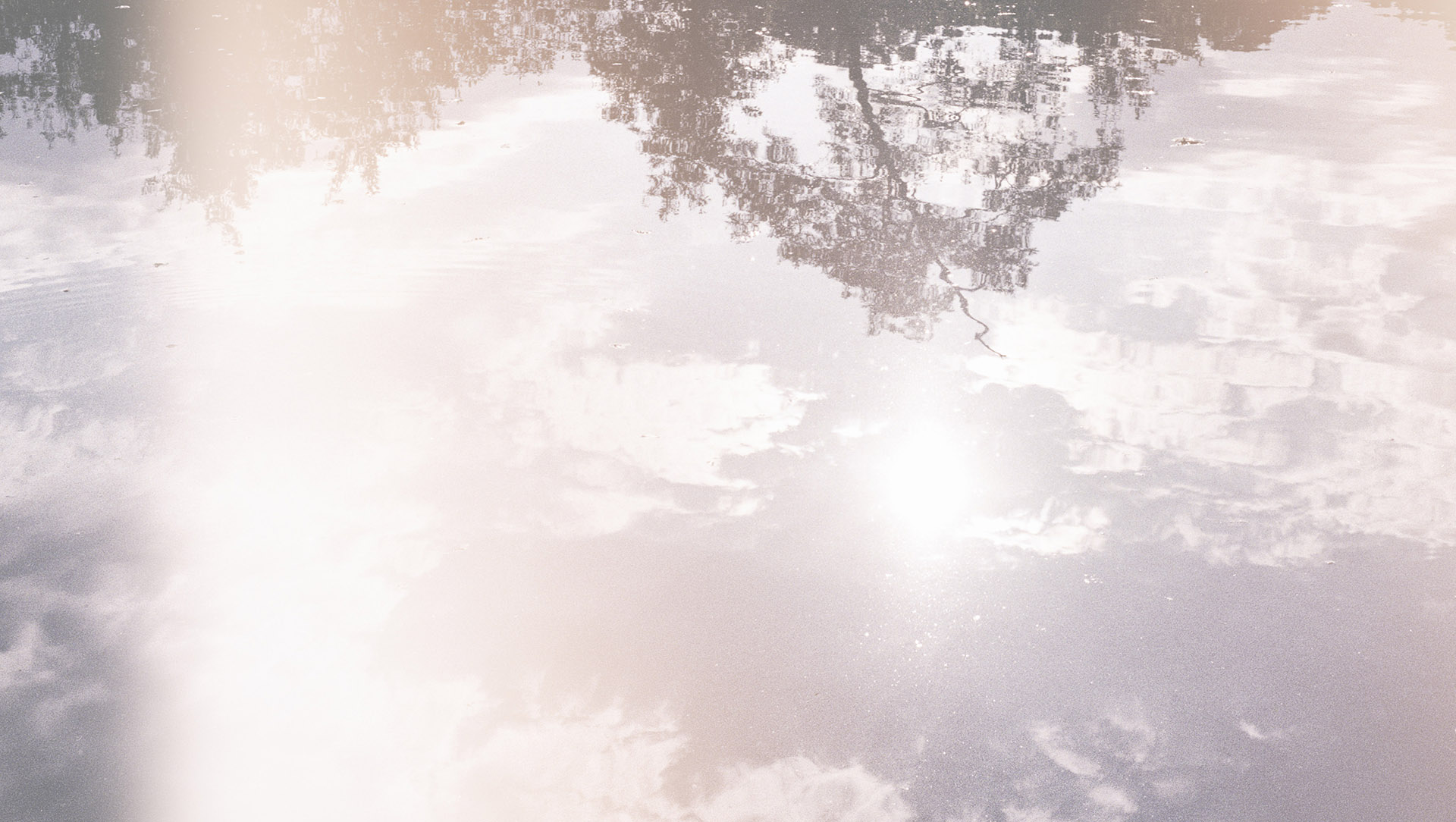 スライドショー