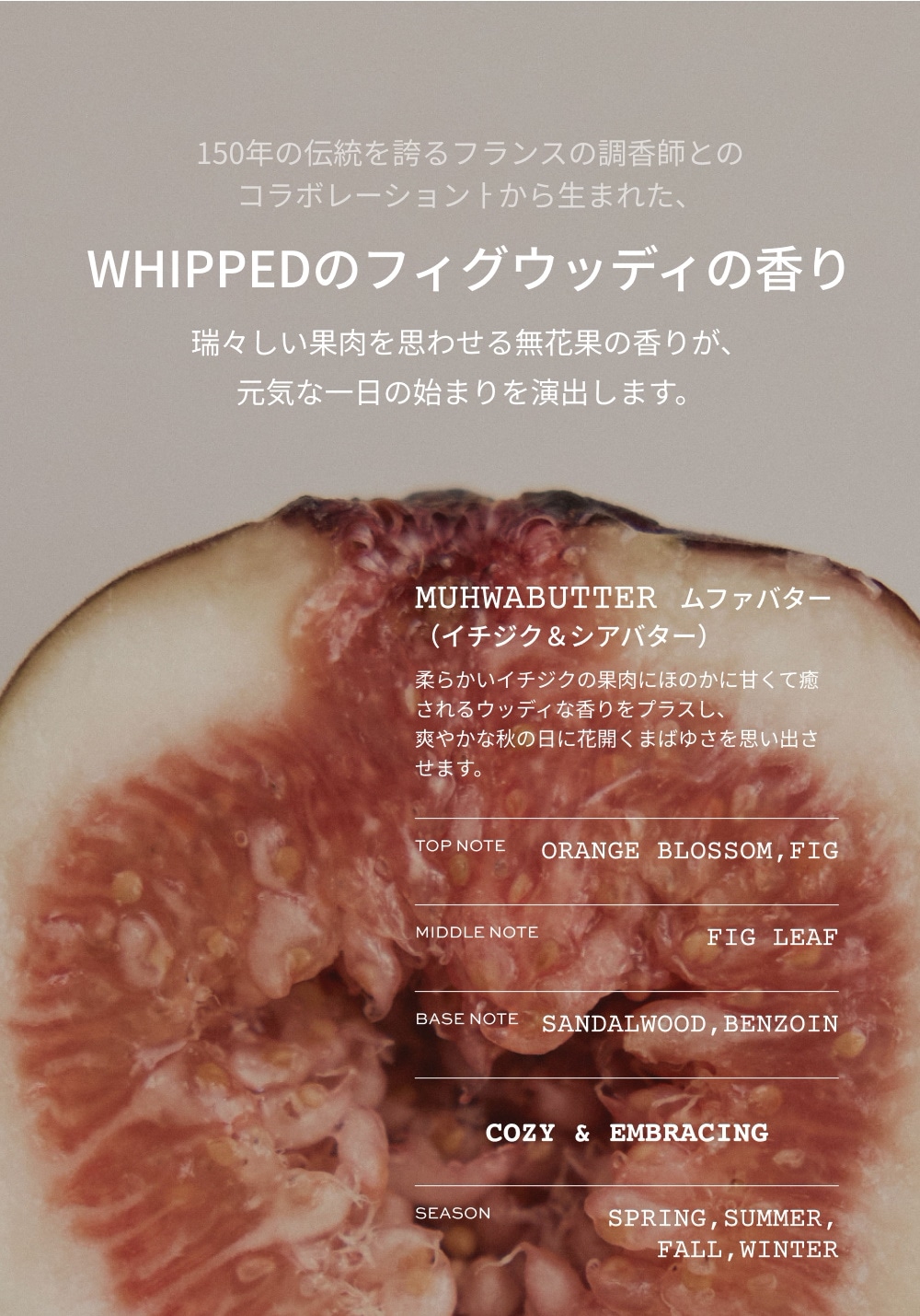 WHIPPED（ホイップド）ユジャモン ヴィーガン トッピング ボディバター ライト 190g ＜YUJAMONG VEGAN TOPPING BODY BUTTER LIGHT 190g＞