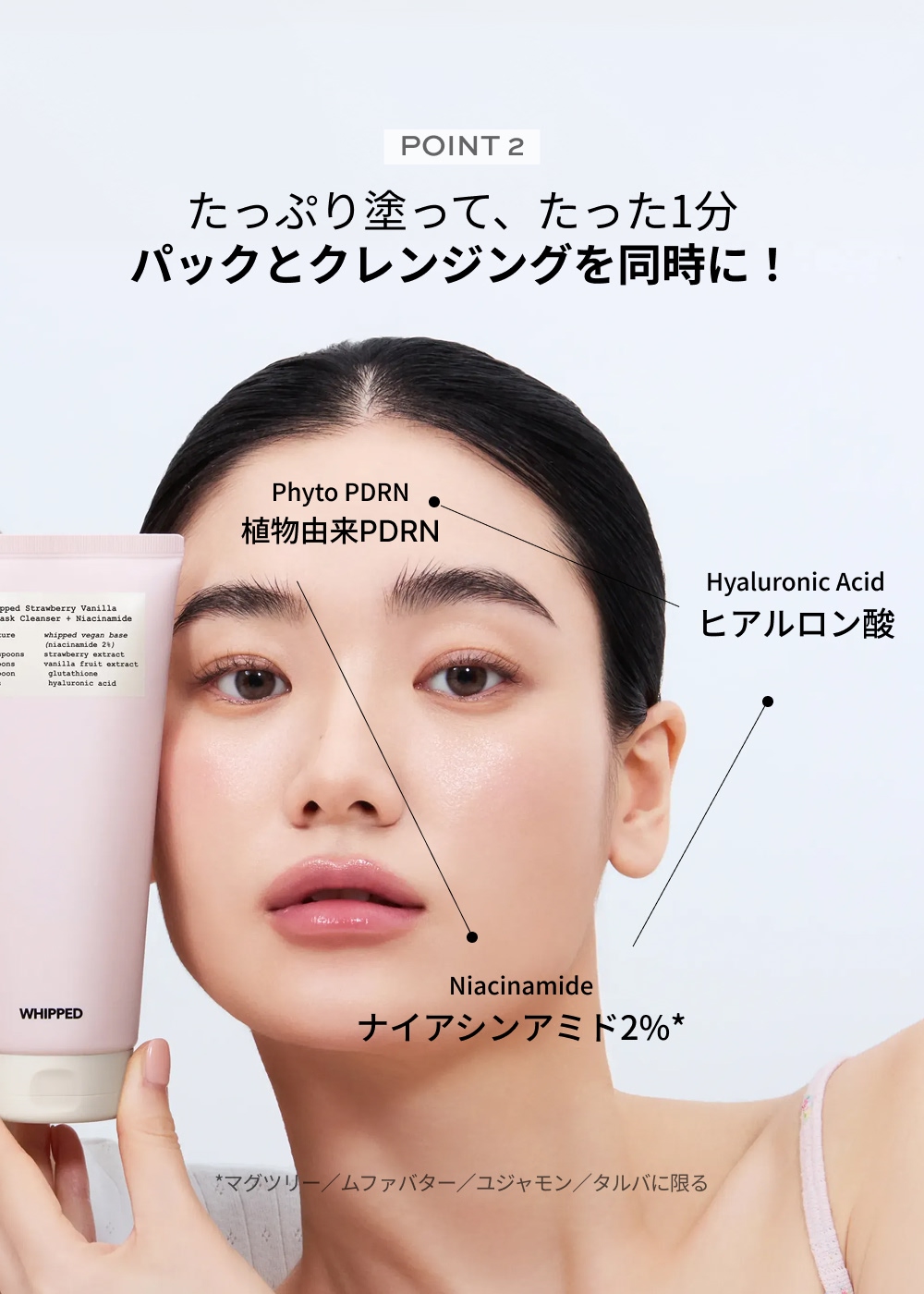 WHIPPED（ホイップド）マグワート ティーツリー フェイスマスク クレンザー ＋ マデカッソシド 130g ＜MUGWORT TEA TREE FACE MASK CLEANSER + MADECASSOSIDE 130g＞