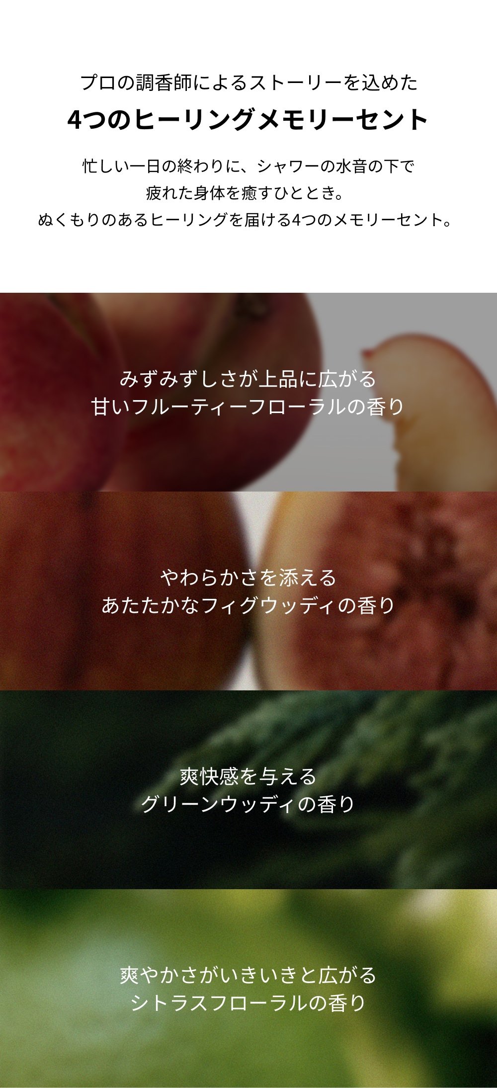 WHIPPED（ホイップド）マグツリー ヴィーガン パック スクラブ 210g ＜MUGTREE VEGAN PACK SCRUB 210g＞