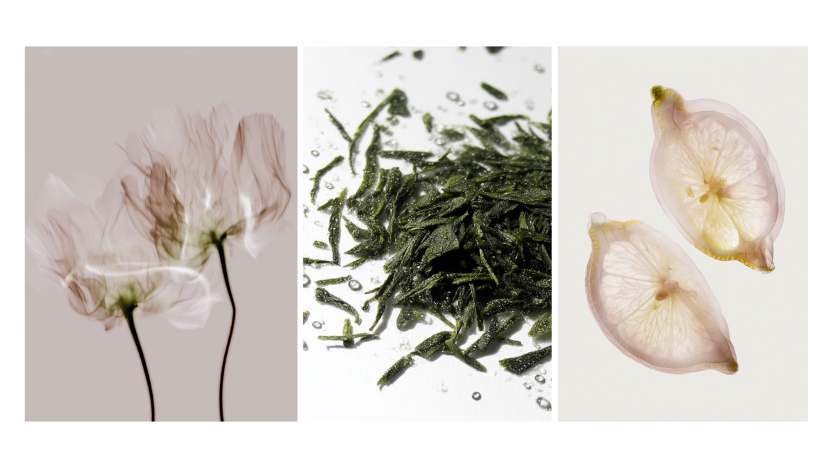 MONOCHROME 香りのイメージ