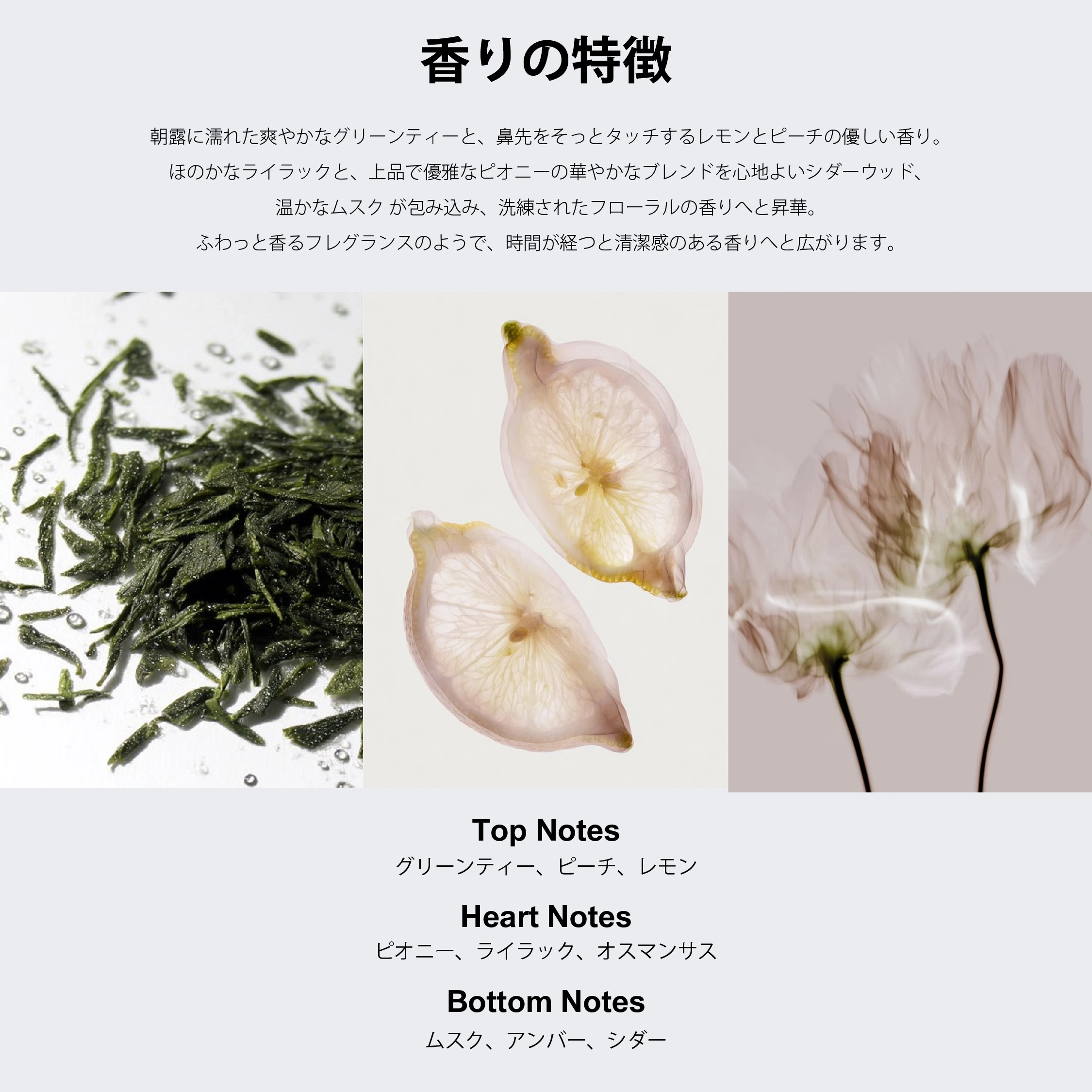 RboW MONOCHROMEシリーズ