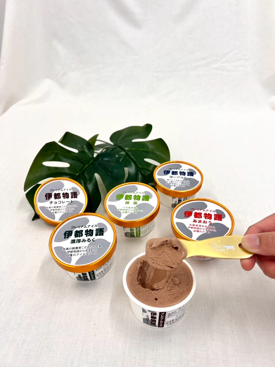 プレミアムアイス12個セット【送料込】