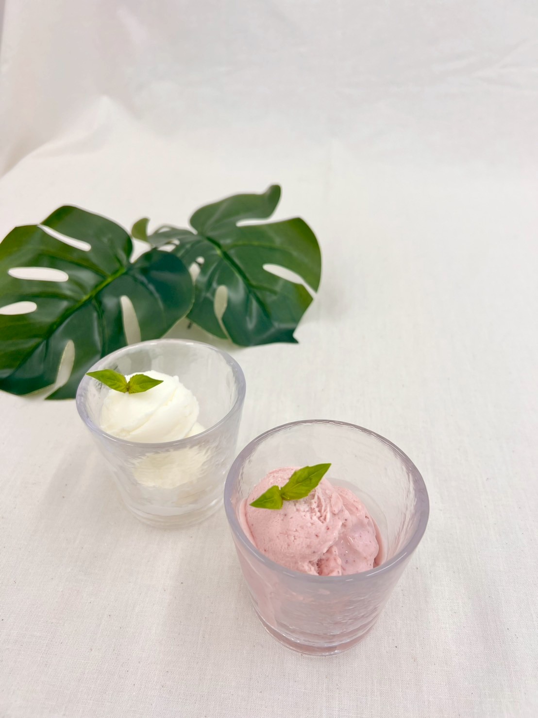 プレミアムアイス５個【送料込】