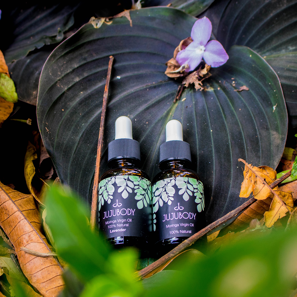 モリンガヴァージンオイル【ラベンダー】 100％天然高品質美容オイル(30ml)