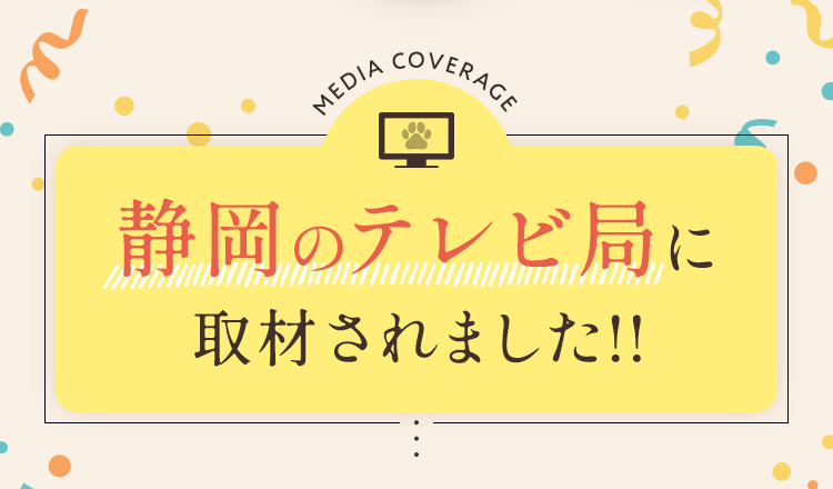 静岡のテレビ局に取材されました!!