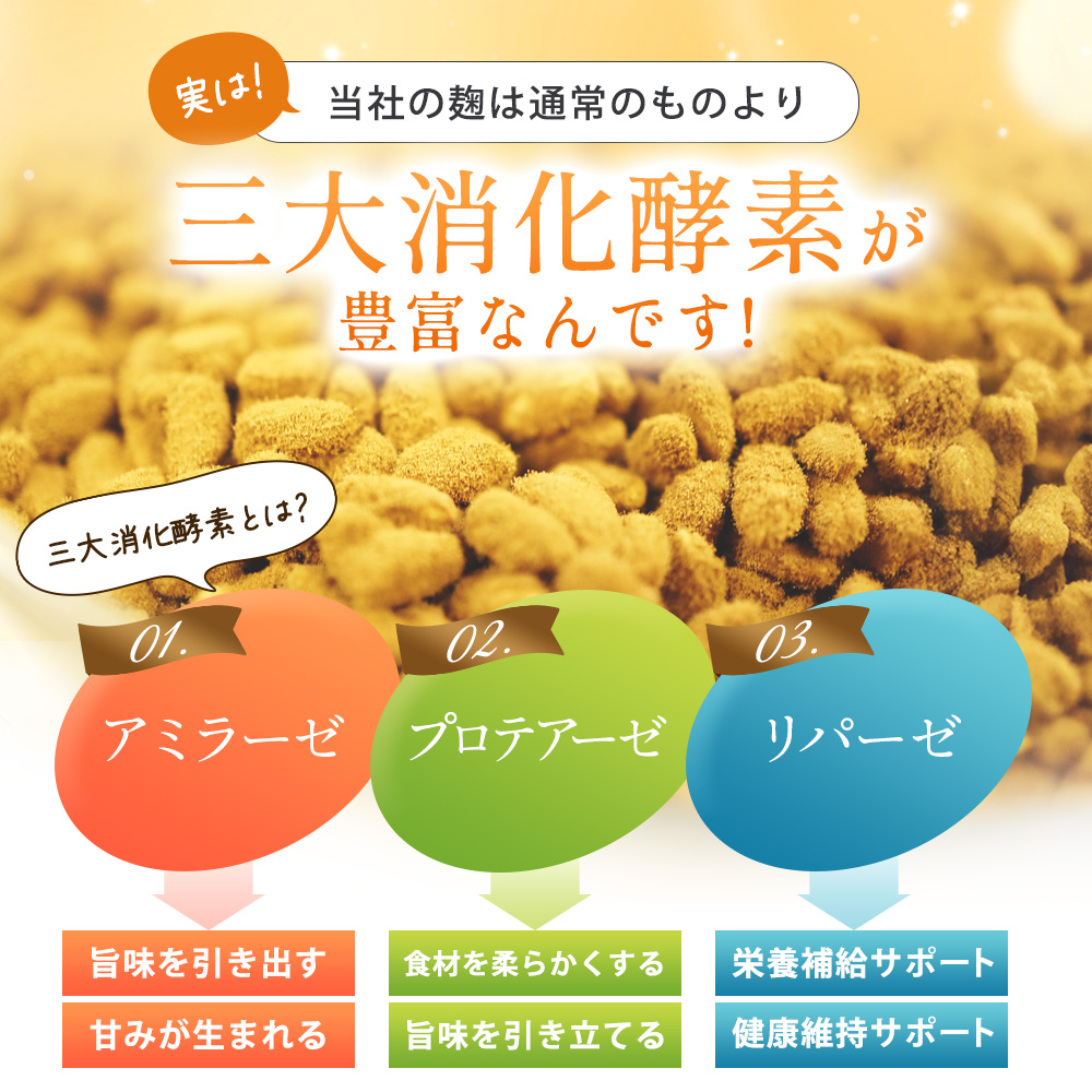乾燥塩麹390ｇ 【定期購入】