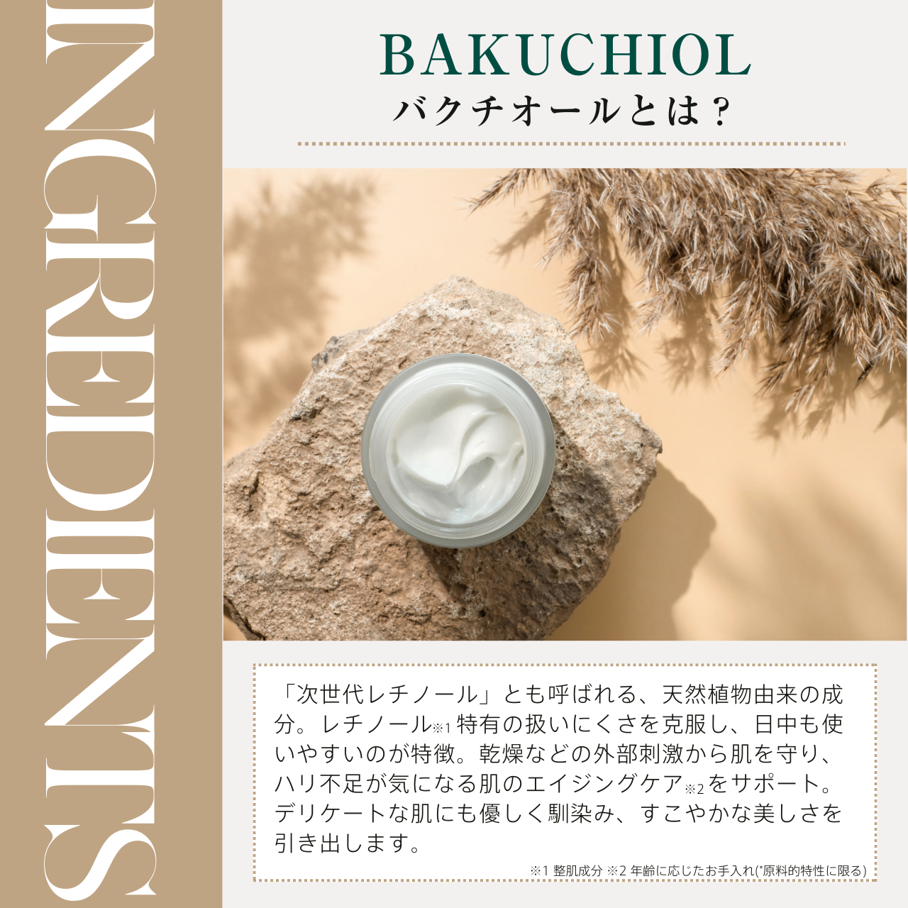 バクチオールシルキーローション【定期便】