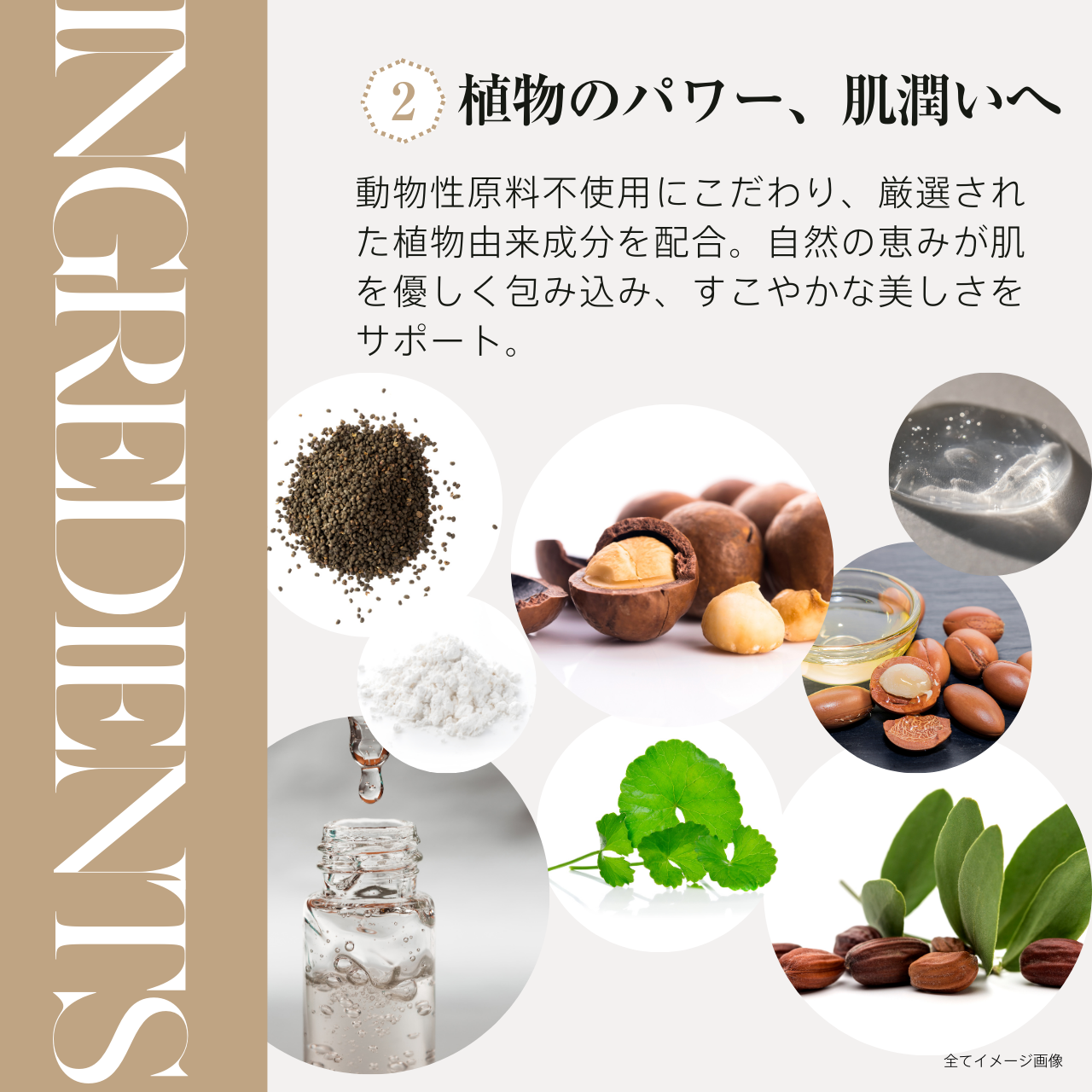 バクチオールセラミッククリーム【定期便】