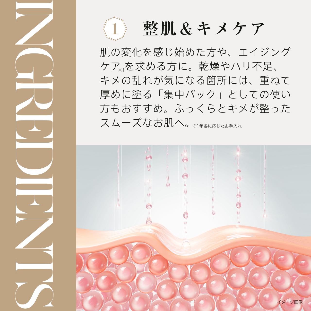 バクチオールセラミッククリーム【定期便】