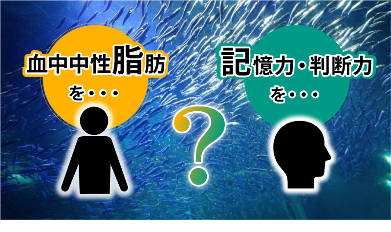 血中中性脂肪を…記憶力・判断力を…