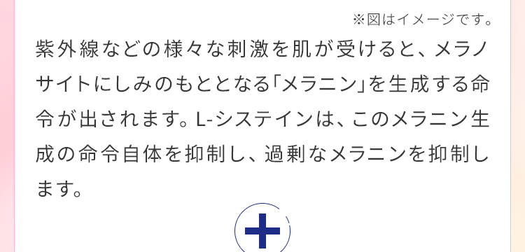 L-システインは、このメラニン生成の命令自体を抑制