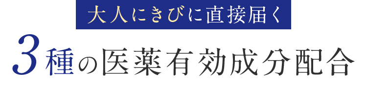 3種の医薬有効成分配合
