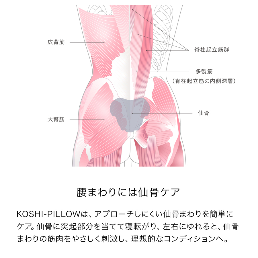 商品イメージ