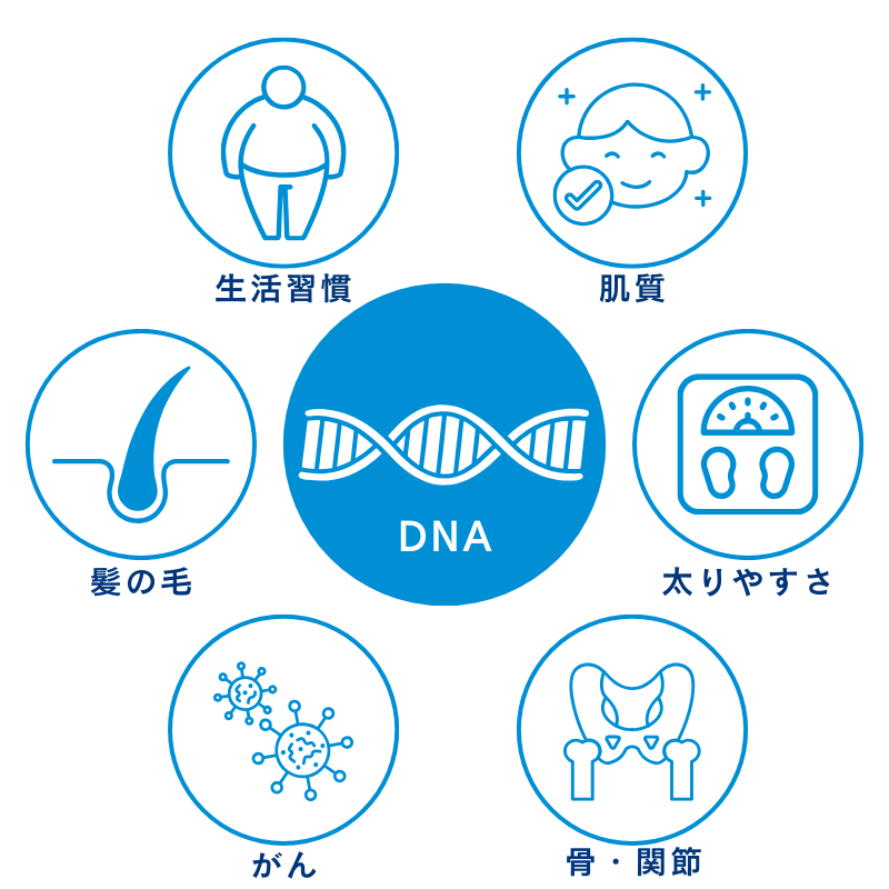 商品イメージ