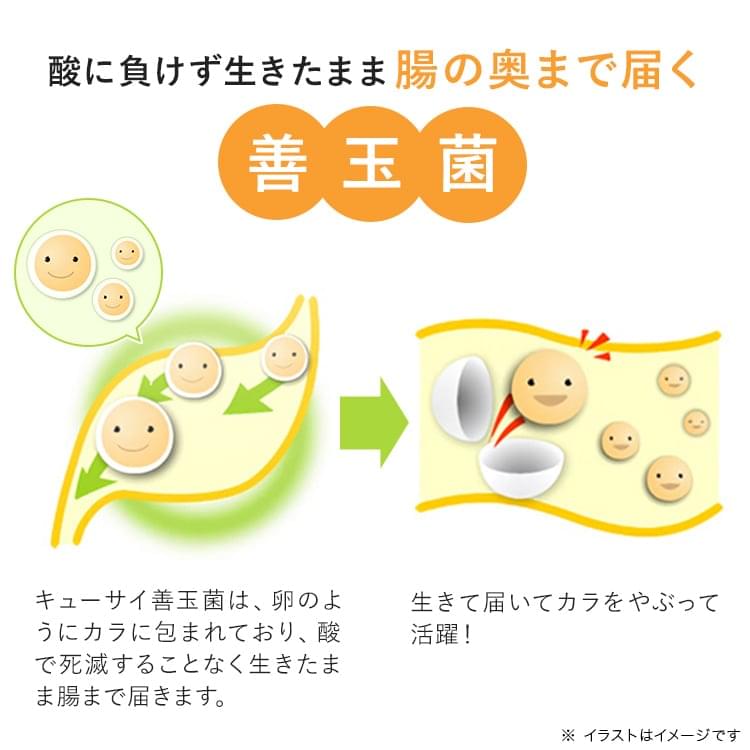 キューサイ善玉菌 | キューサイ【公式】通販