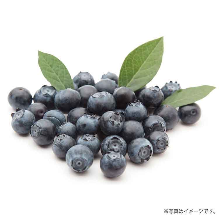 商品イメージ