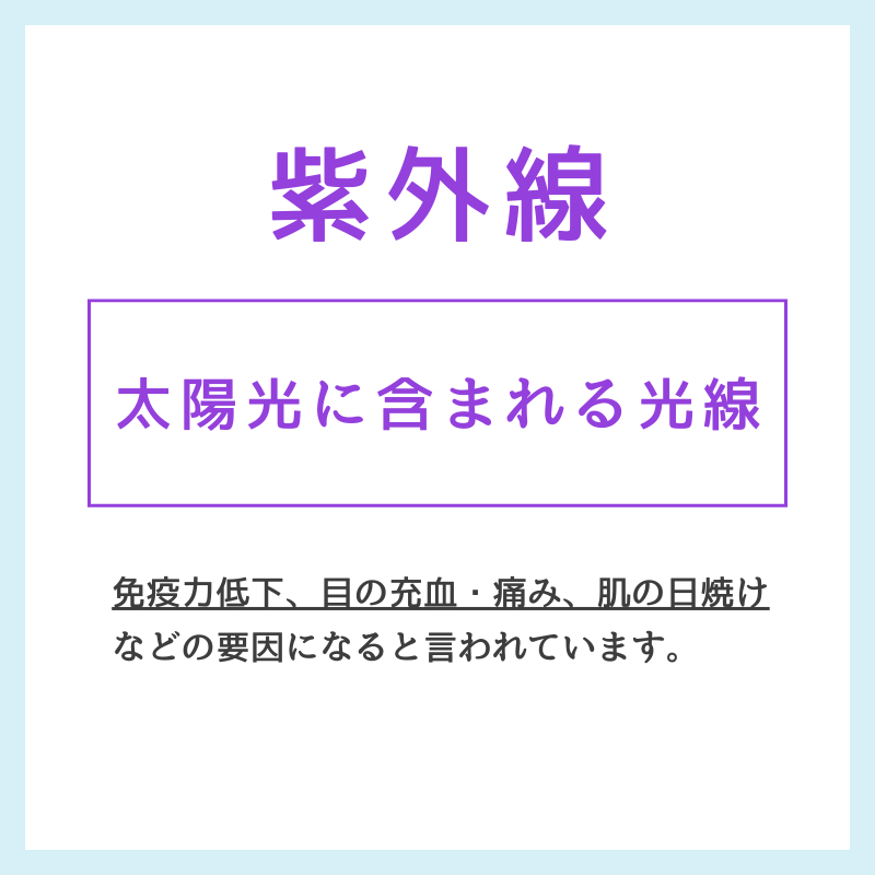 商品イメージ