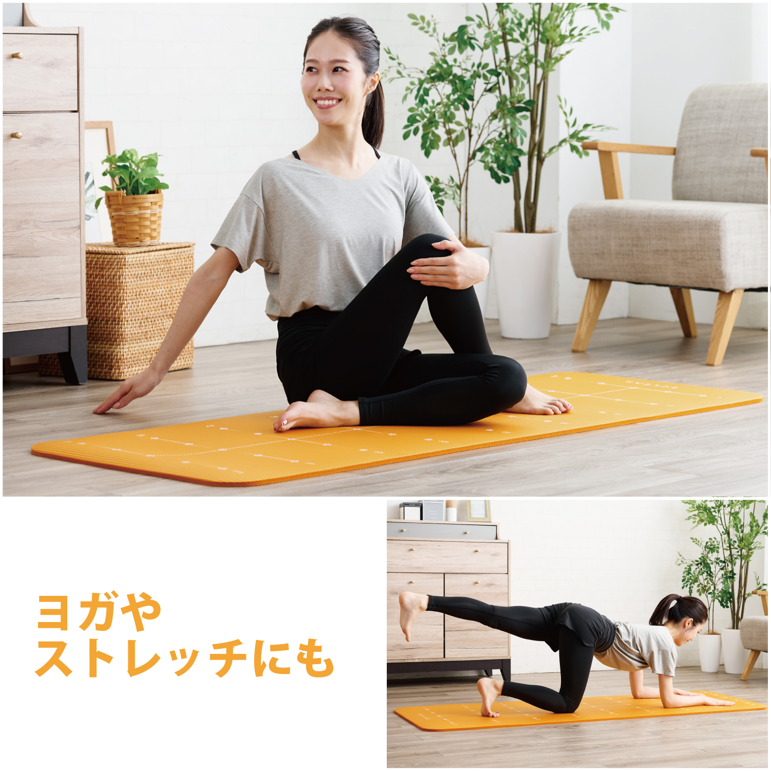 商品イメージ