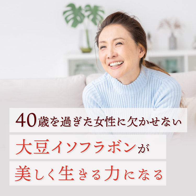 商品イメージ