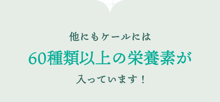 他にもケールには60種類以上の栄養素が入っています！