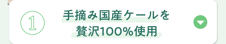 手摘み国産ケールを贅沢100%使用