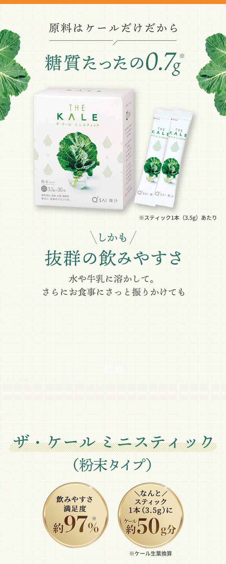 ザ・ケール ミニスティック