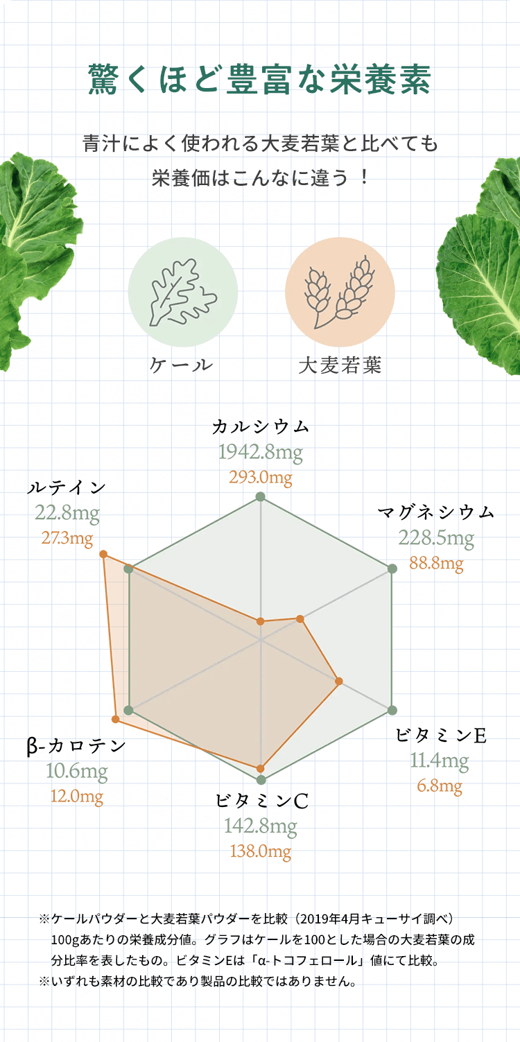 驚くほど豊富な栄養素