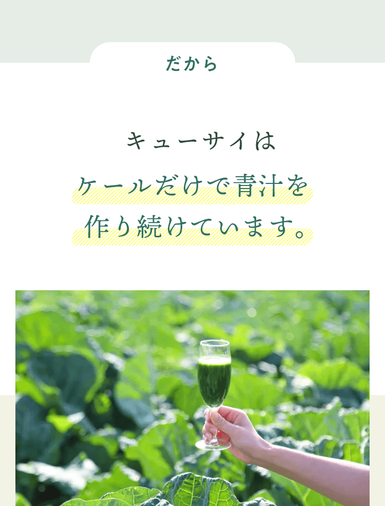 キューサイはケールだけで青汁を作り続けています。