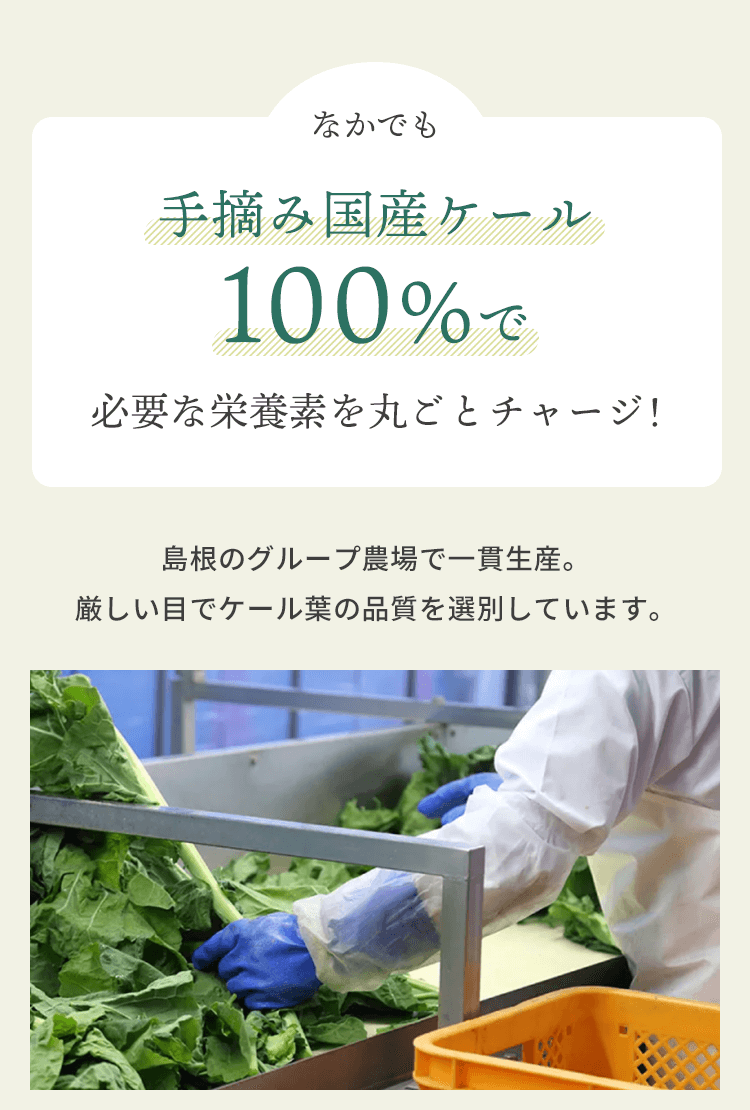 手摘み国産ケール100%で必要な栄養素を丸ごとチャージ！