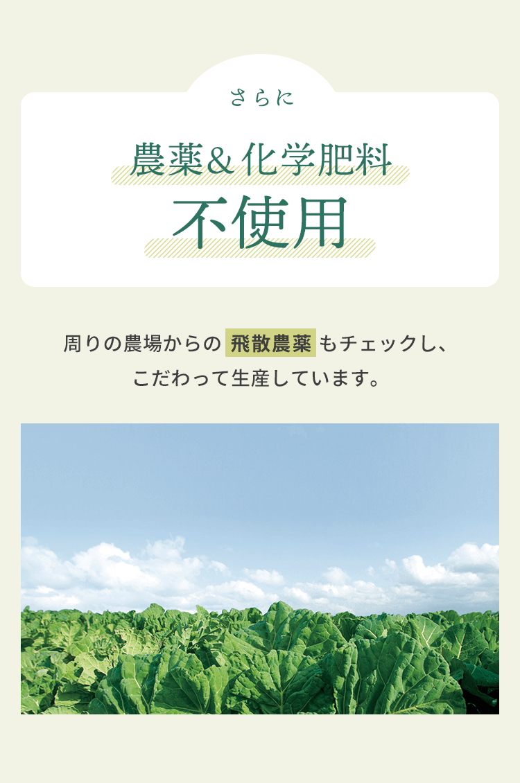 農薬&化学肥料不使用