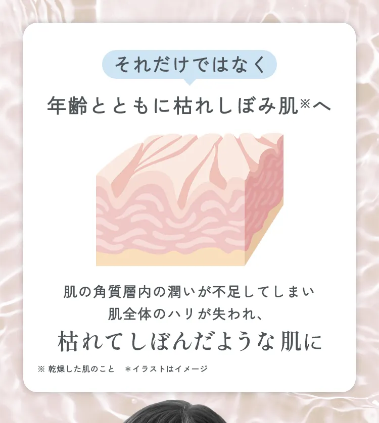 それだけではなく年齢とともに枯れしぼみ肌へ 肌の角質層内の潤いが不足してしまい肌全体のハリが失われ、枯れてしぼんだような肌に