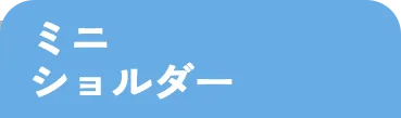 ミニショルダー