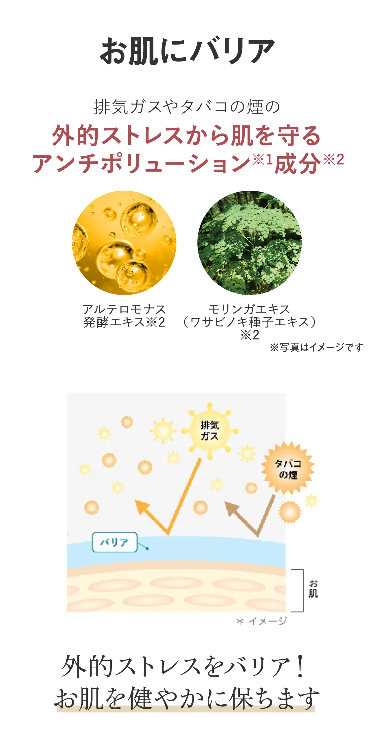 お肌にバリア