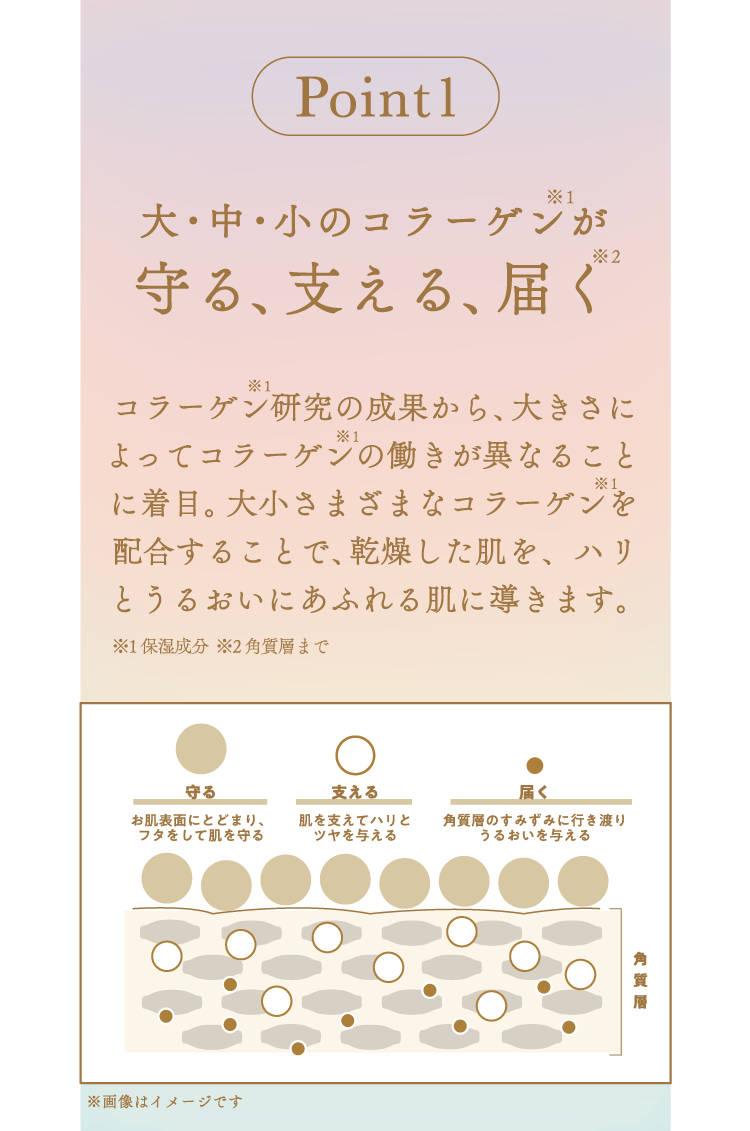 Point1 大・中・小のコラーゲンが守る、支える、届く