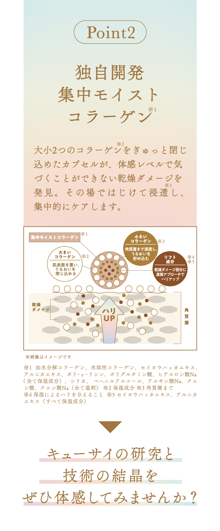 Point2 独自開発集中モイストコラーゲン