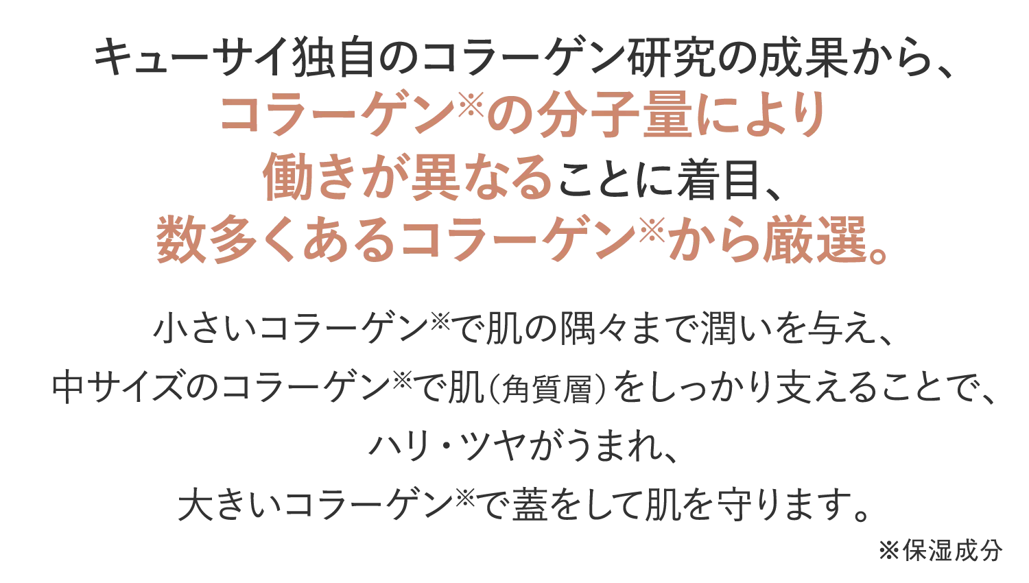 数多くあるコラーゲンから厳選。大きいコラーゲンで蓋をして肌を守ります。