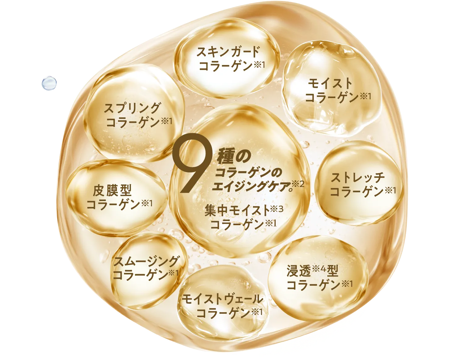 9種のコラーゲン