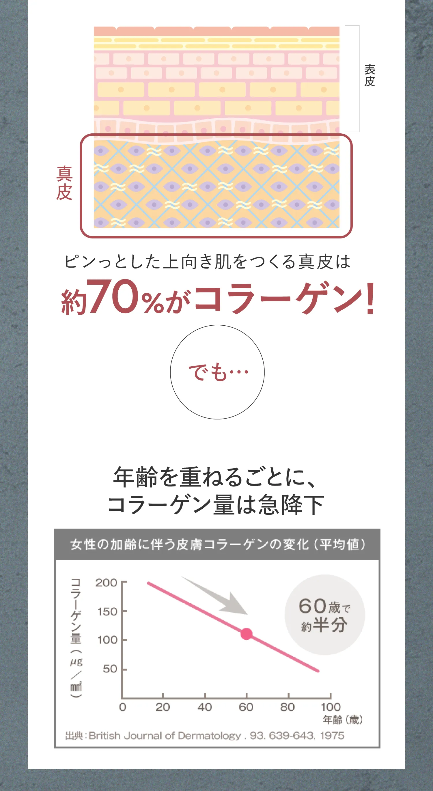年齢を重ねるごとに、コラーゲン量は急降下