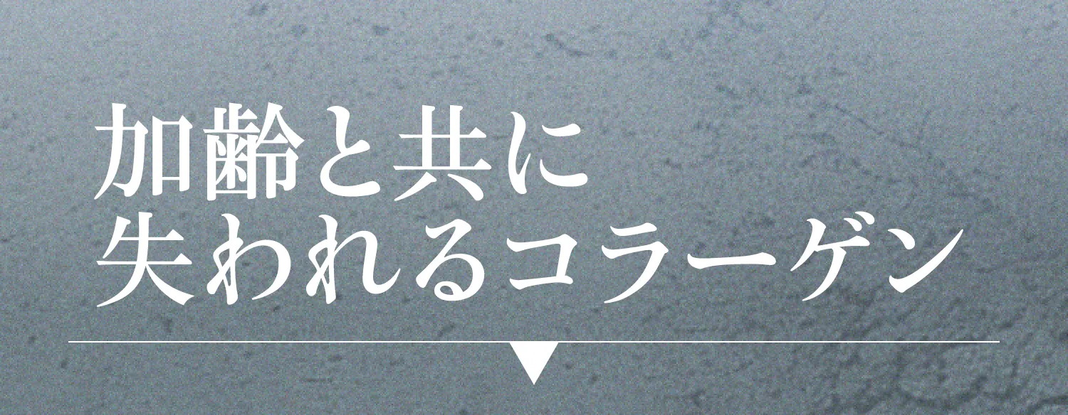 加齢と共に失われるコラーゲン