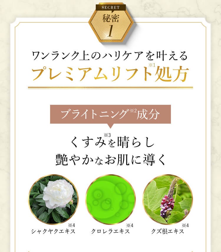 秘密1 ワンランク上のハリケアを叶えるプレミアムリフト処方