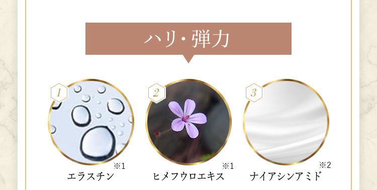 ハリ・弾力 1エラスチン 2ヒメフウロエキス 3ナイアシンアミド