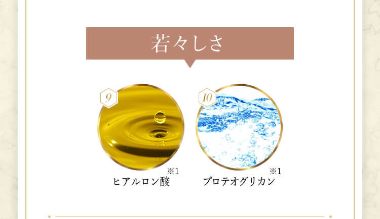若々しさ 9ヒアルロン酸 10プロテオグリカン