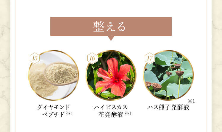 整える 15ダイヤモンドペプチド 16ハイビスカス花発酵液 17ハス種子発酵液