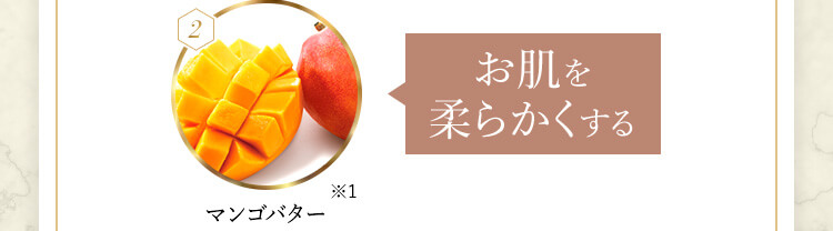 お肌を柔らかくするマンゴバター