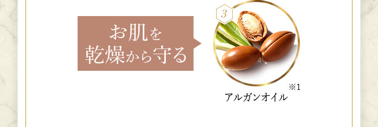 お肌を乾燥から守るアルガンオイル