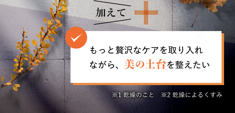 加えて もっと贅沢なケアを取り入れながら、美の土台を整えたい