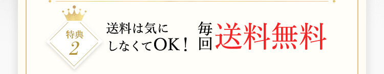 特典2 送料は気にしなくてOK!毎回送料無料
